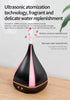 Japanese style Air Humidifier and Essential Oil Diffuser