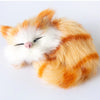 Cute Kitten House Decorative Night Light