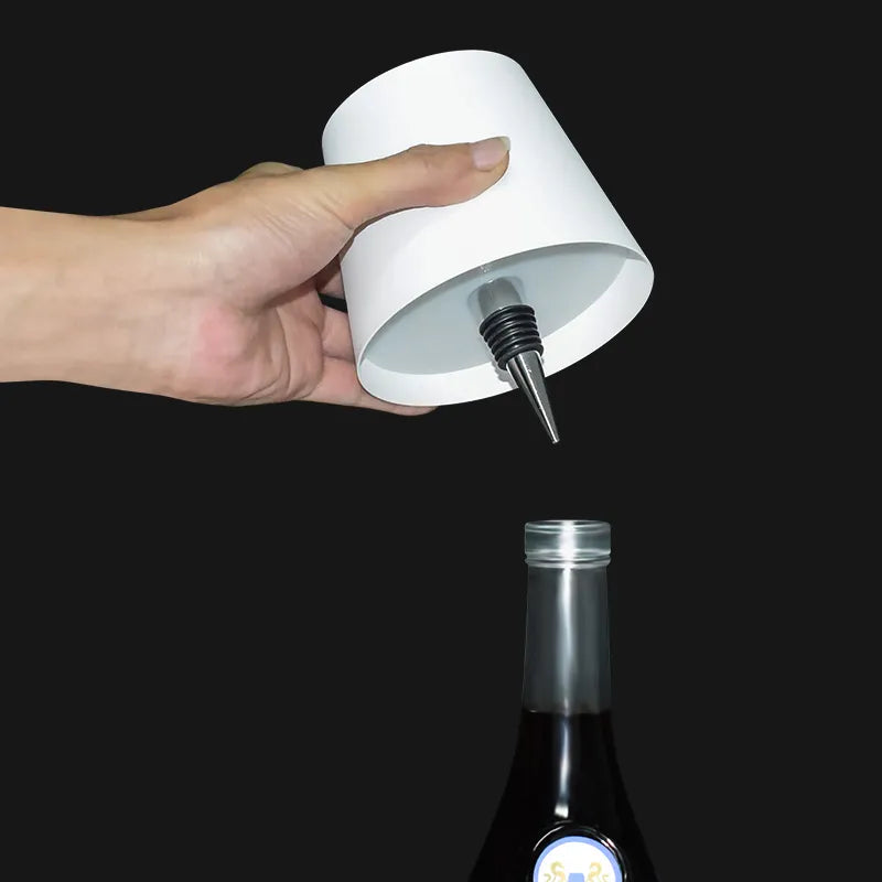 DIY Wine Bottle Lamp